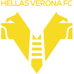 維羅納青年隊(duì)